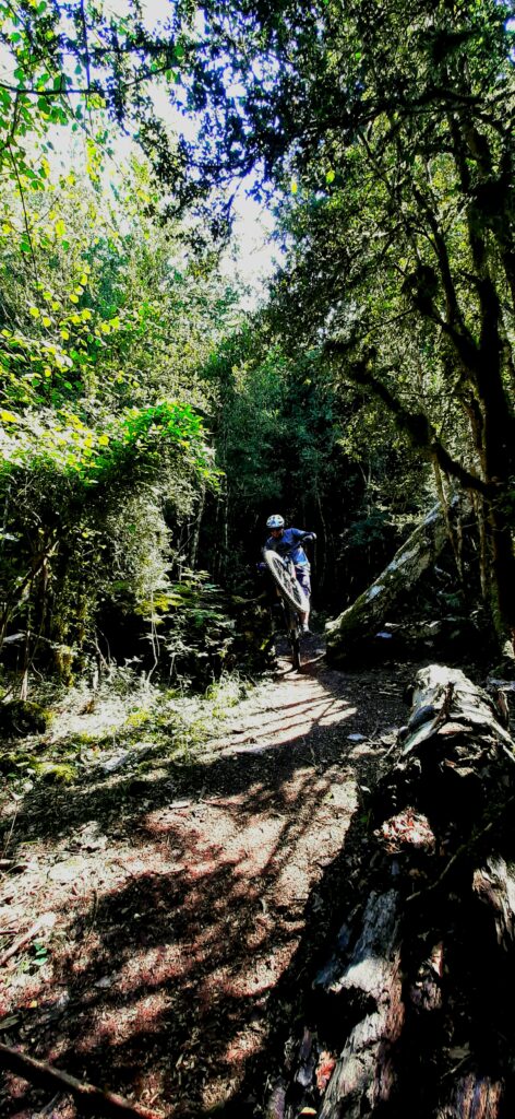 Flow en Puro Pirineo por el bosque