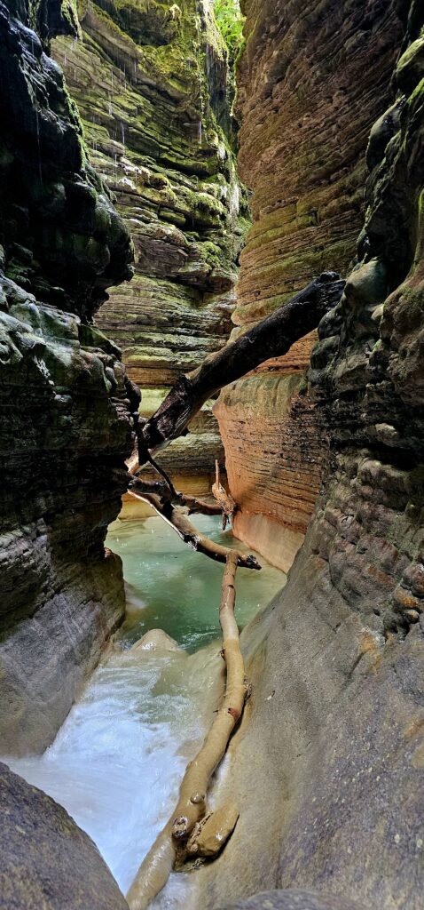 Barranco Forcos
